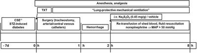 Effects of Sodium Thiosulfate During Resuscitation From Trauma-and-Hemorrhage in Cystathionine-γ-Lyase Knockout Mice With Diabetes Type 1